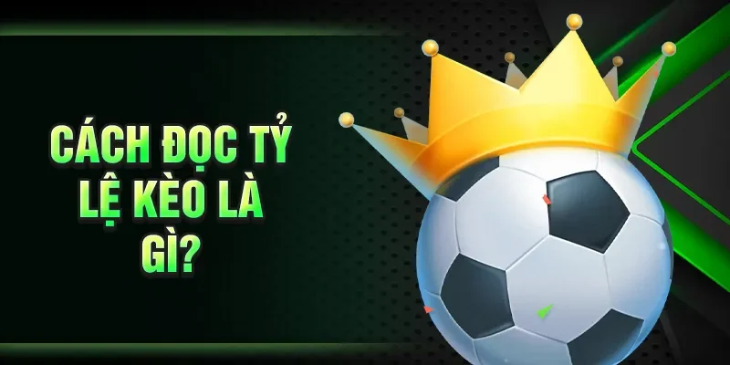 Cách đọc tỷ lệ kèo là gì?