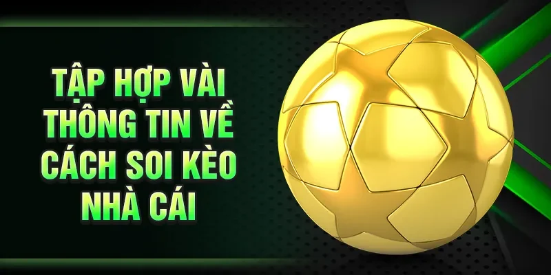 Tập hợp vài thông tin về cách soi kèo nhà cái
